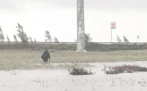 ���＼�g(sh��)����(w��)�Ŀ��(j��ng)����K����淶�ģ����x10ƪ��