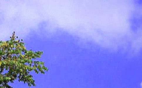 �����һ��