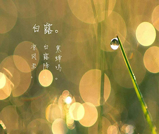 白露祝福語 白露祝福語