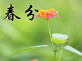 ����ף���Z(y��)