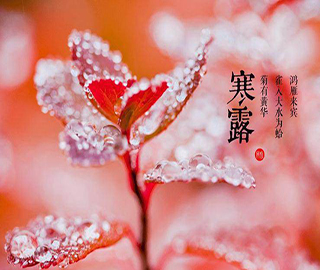 ��¶ף���Z