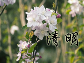 清明祝福語 清明祝福語