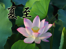 ����ף���Z