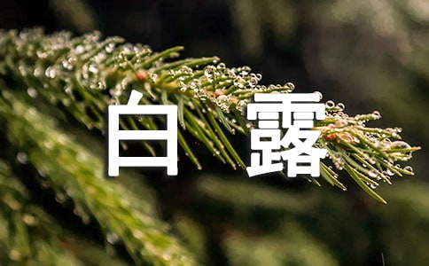 白露祝福語(精選95句)