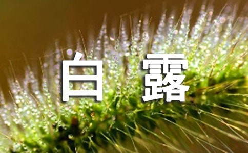 白露節(jié)氣的農(nóng)事諺語大全