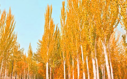 �ח�����400�ְ�ƪ