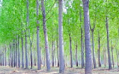 �ח�̌W(xu��)�O(sh��)Ӌ(j��)3ƪ