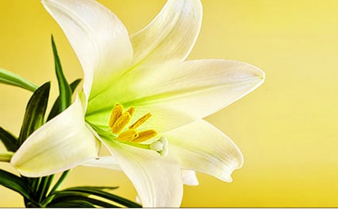 �ٺϻ�������