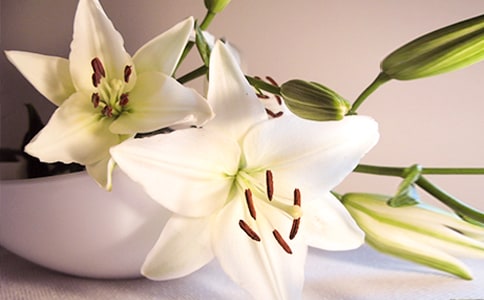 ����Ȧ��ٺϻ����f�f190��