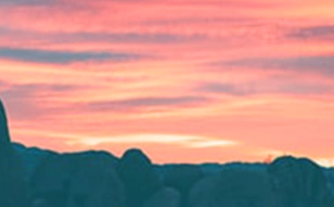 傍晚的春作文600字