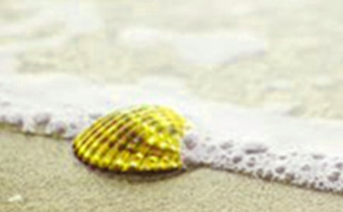 美麗的貝殼作文(通用21篇)