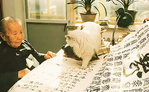 �P(gu��n)�ڱ���Ԓ�Z50��