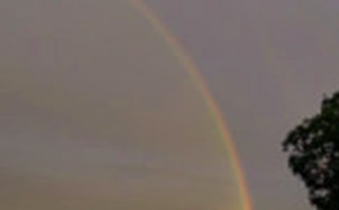 永不褪色的彩虹作文