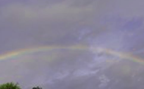 人生的彩虹優(yōu)秀作文