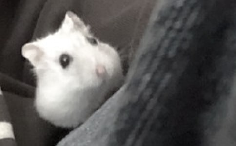 �P�ڂ}�������400�ַ���