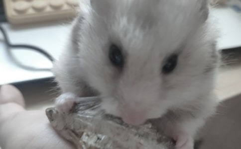 �}���ҹ�픢������