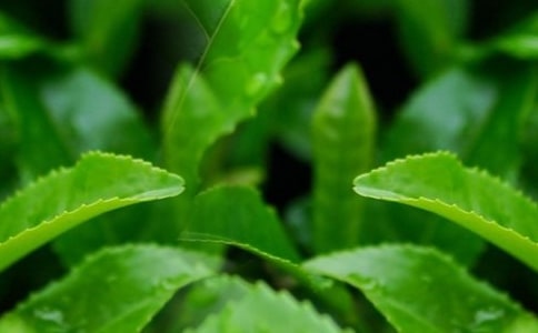 ���~��ُ(g��u)��ͬ����