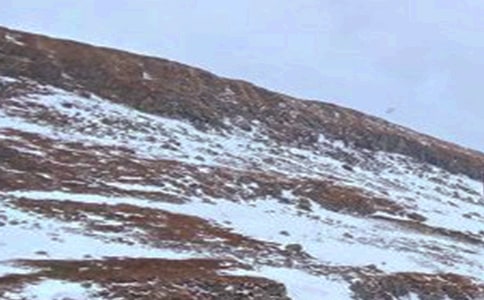 ���g�ɾ����L(zh��ng)��ɽ����