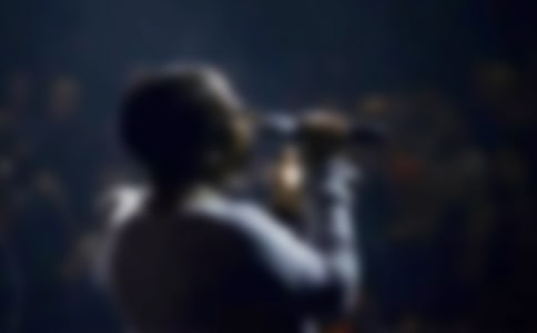 《會(huì)唱歌的貓》讀后感500字