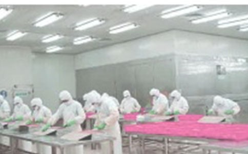 ���a(ch��n)܇�g����(x��)�����b��