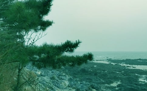 小班的兒歌春風(fēng)教學(xué)反思