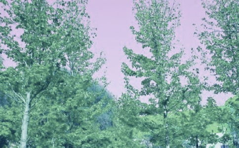 《春風(fēng)吹》教學(xué)設(shè)計(jì)3篇