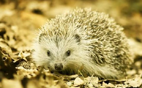 С����[�[ͯԒ����