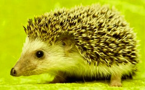 С�����܇����500��