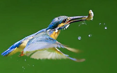 С�W�n�ġ����B����(y��u)��̌W�OӋ