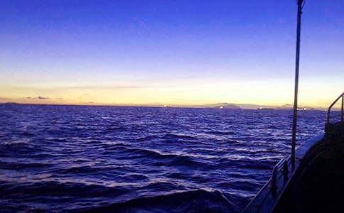 С�~�ʹ󺣵����ģ����x17ƪ��