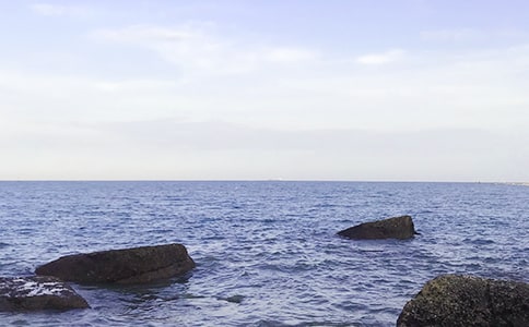 ���x�茑��������ƪ