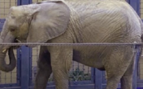 С�úʹ���ͯԒ����