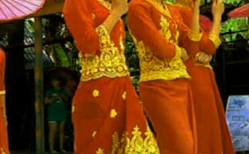 ���P(gu��n)��������300��7ƪ