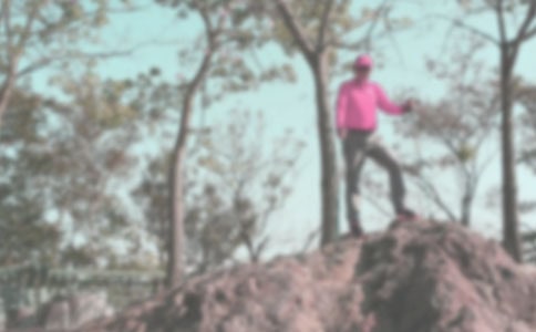 ��ɽ������(15ƪ)