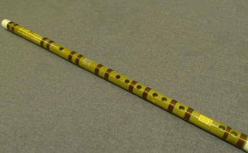 笛子與叔叔小學(xué)作文500字