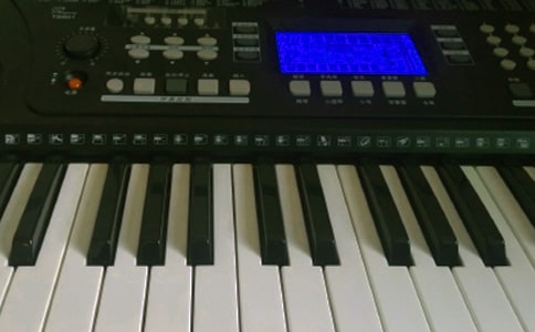 電子琴初二作文