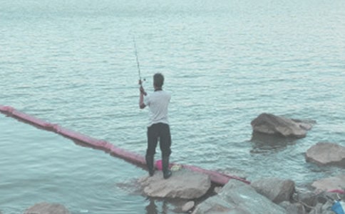 《釣魚》說課稿