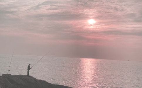 【熱門】釣魚的啟示作文