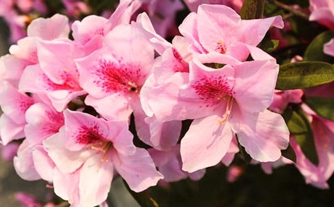 �ҼҵĶ��N������