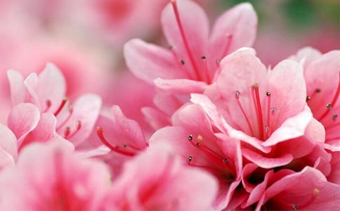 ��(xi��)�����Ķ��N������450��