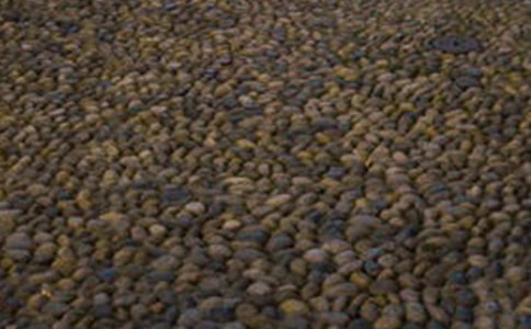 心形鵝卵石的作文500字