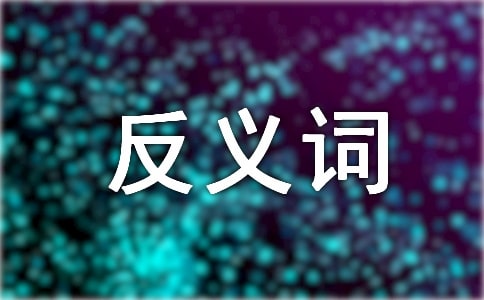 低潮的反義詞是什么