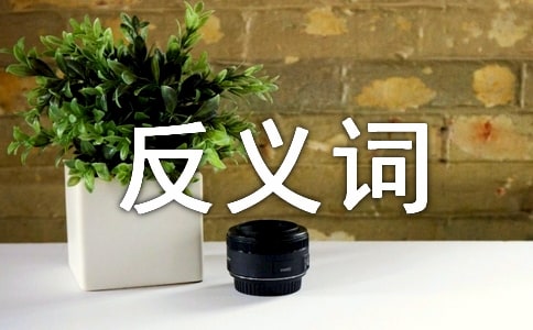 С�W(xu��)���꼉�Խ����x�~��ĩ��헏�(f��)���}