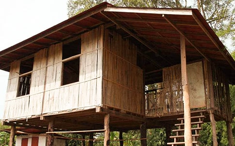 《“三顆紐扣”的房子》教學(xué)設(shè)計