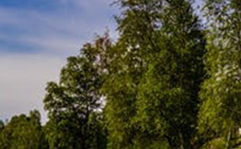 ������L(f��ng)����������