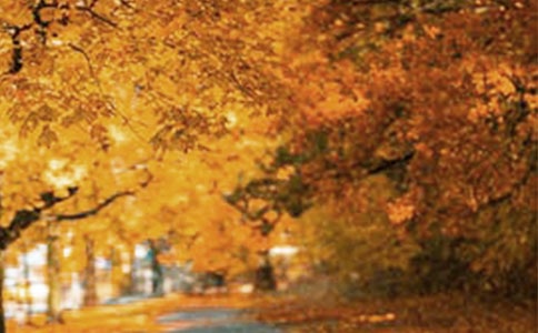 һ·���L(f��ng)���ă�(y��u)������