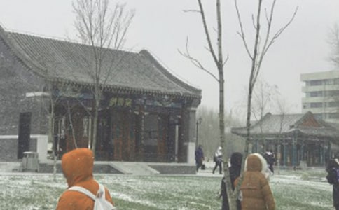 �����L(f��ng)ѩ��(y��ng)���A(y��)��