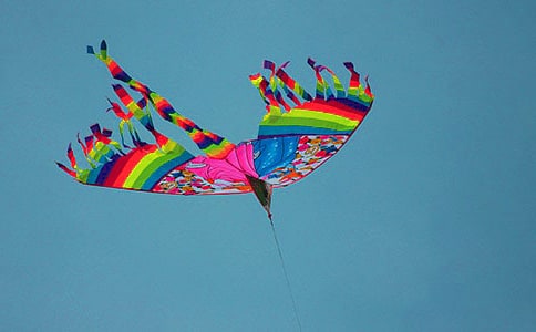 �茑�L(f��ng)�~������100��