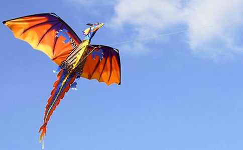 ���L(f��ng)�~���D����[��(y��u)]