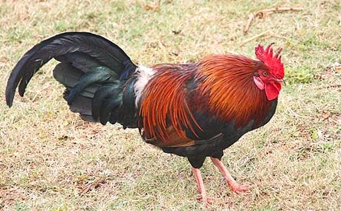 �P(gu��n)���F���uЪ���Z(y��)